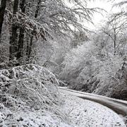 Charrey-sur-Seine 29/11/2010