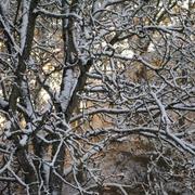 Avessac 29/11/2010
