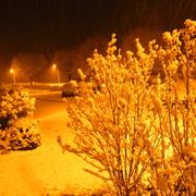 Marcilly-le-Hayer 29/11/2010