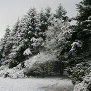 Saint-Hilaire-la-Gravelle 29/11/2010