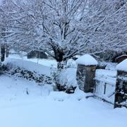 Gros-Chastang 30/11/2010