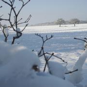 Schwerdorff 30/11/2010