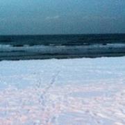 Argenton-les-Vallées 30/11/2010