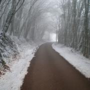 Arcy-sur-Cure 02/12/2010