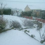 La Hallotière 02/12/2010