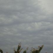 Fresnay-en-Retz 25/05/2009