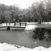 Poullaouen 03/12/2010