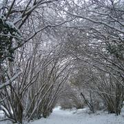 Châtelus-Malvaleix 04/12/2010