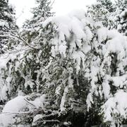 Frotey-lès-Vesoul 07/12/2010