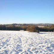 Saint-Symphorien 11/12/2010