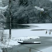 Florent-en-Argonne 11/12/2010