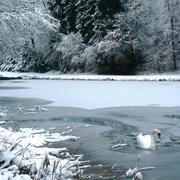 Vienne-le-Château 10/12/2010