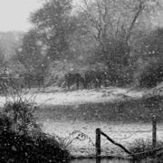 La Bazoge-Montpinçon 11/12/2010