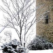 Saint-Jacut-les-Pins 17/12/2010