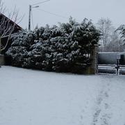 Vendeuvre-sur-Barse 17/12/2010