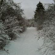 Ligny-en-Barrois 17/12/2010