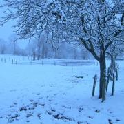 Juvigné 20/12/2010