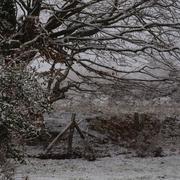 Azay-sur-Thouet 19/12/2010