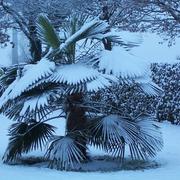 Louvigné-du-Désert 21/12/2010