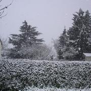Fresnay-sur-Sarthe 21/12/2010