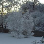 Villeneuve-de-Rivière 21/12/2010