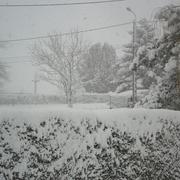 Thieulloy-la-Ville 21/12/2010