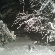 Saint-Brice-en-Coglès 21/12/2010