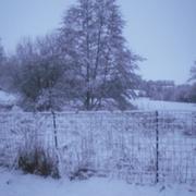 Saint-Georges-le-Gaultier 19/12/2010