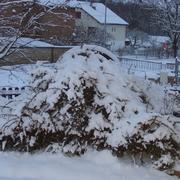 Attigny 21/12/2010