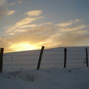 Viévigne 23/12/2010