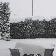 Echternach 23/12/2010