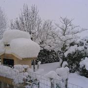 Isigny-sur-Mer 20/12/2010