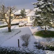 Isigny-sur-Mer 23/12/2010