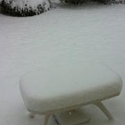 Amifontaine 23/12/2010