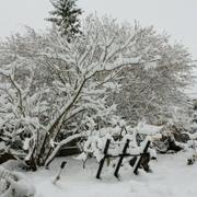 Argenvilliers 20/12/2010