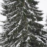 Damvillers 22/12/2010