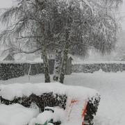 Sommery 21/12/2010
