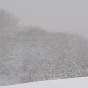 Mauregny-en-Haye 22/12/2010