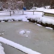 Bois-Anzeray 23/12/2010