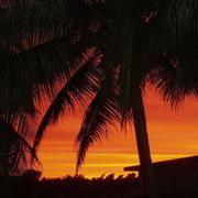 Pointe-à-Pitre 05/06/2009