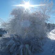 Laval-Roquecezière 27/12/2010