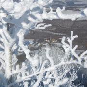 Laval-Roquecezière 27/12/2010