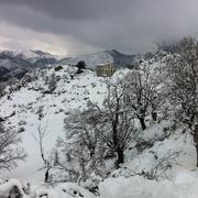 Campi 24/01/2011