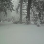 Ancy-le-Franc 06/03/2011