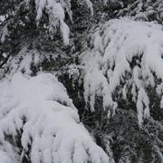 Argein 14/03/2011
