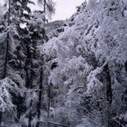Colmars 14/03/2011