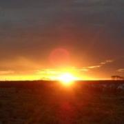 Adélaïde 22/03/2011