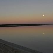 Adélaïde 22/03/2011