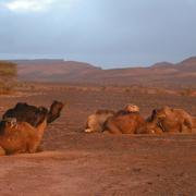 Zagora 06/04/2011