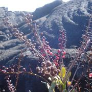 Saint-Joseph 12/04/2011